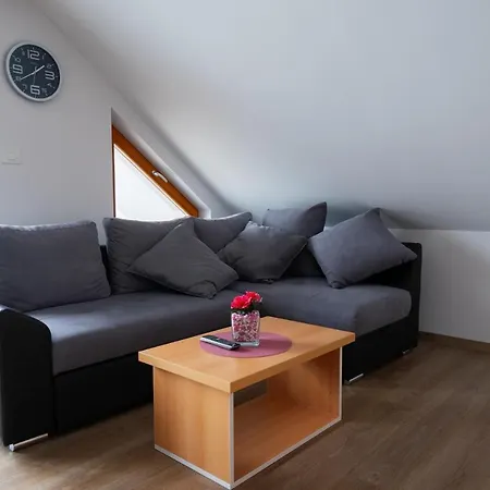 Pjagodic & Wellness Apartmanhotel *