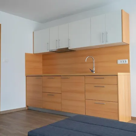 Pjagodic & Wellness Aparthotel