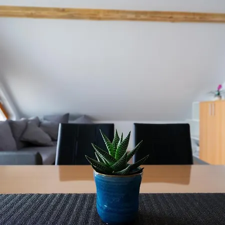 Pj & Wellness - Hot Tub & Sauna - Free Parking 4* Церклье-на-Гореньскем